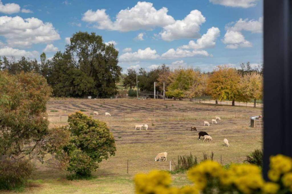 Heart Of Canowindra - Heritage Escape With A View Villa Luaran gambar